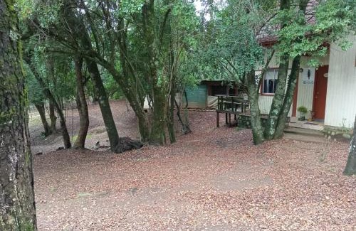 Bajos de Lircay Cabina | Cabañas La Leona