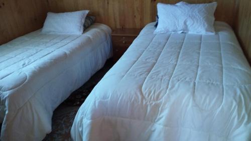 Melipeuco Apartamento | Cabañas la tía Julia