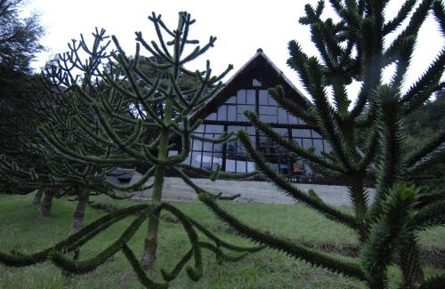 Coyhaique Cabina | Cabañas Lago Elizalde