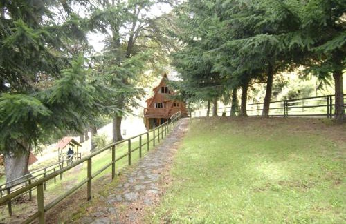 Coyhaique Cabina | Cabañas Lago Elizalde