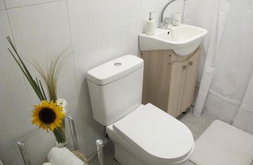 Chillan Apartamento | Cabañas Lemupewen Chillán 2 Factura