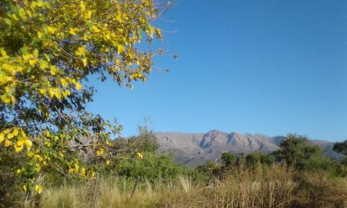 Nono Cabina | Cabañas Llajta Sumaj
