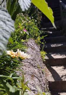 Osorno Apartamento | Cabañas Los Geranios