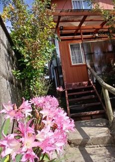 Osorno Apartamento | Cabañas Los Geranios