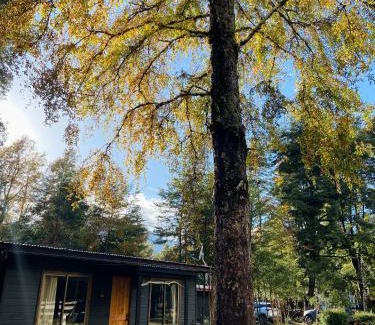 Conaripe Casa | Cabañas Los Glaciares