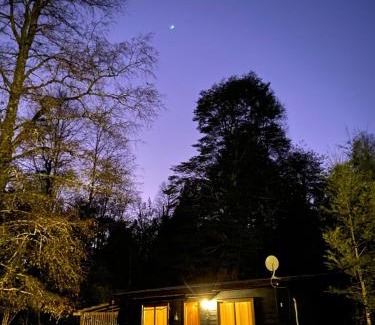 Conaripe Casa | Cabañas Los Glaciares