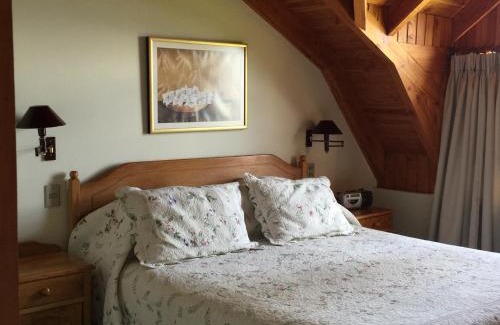 Pucon Cabina | Cabañas Monte Verde