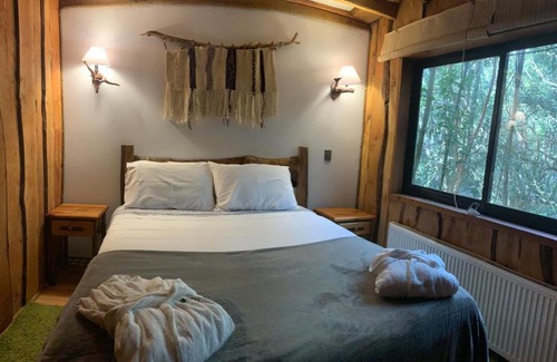 Pucon Cabina | Cabañas Natural Park Lodge Pucón