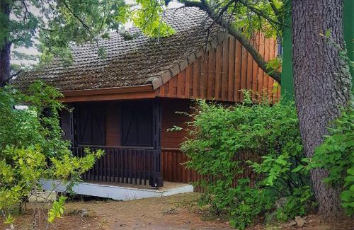 Navacerrada Chalet De Esquí | Cabañas Navacerrada