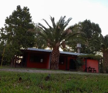 Rama Caída Casa | Cabañas Nono Mario