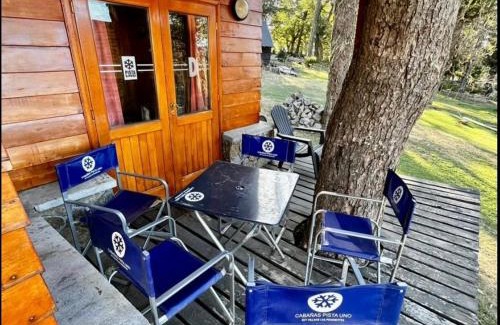 Lanin National Park Cabina | Cabañas Pista Uno Ski Village
