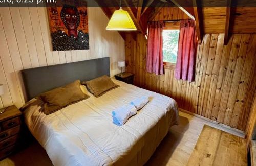 Lanin National Park Cabina | Cabañas Pista Uno Ski Village