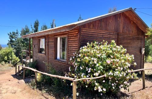 Curanipe Casa | Cabañas Refugio Las Conejas