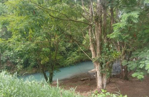 Cantón de Guatuso Hotel | Cabañas Rio Celeste