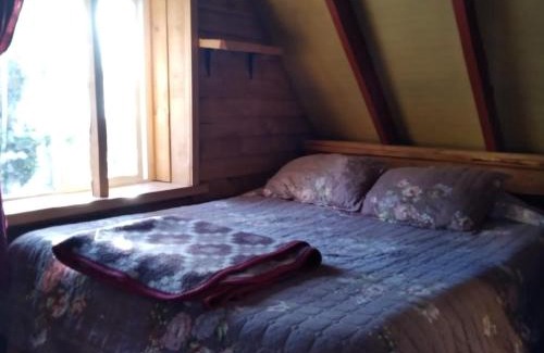 Puerto Montt Apartamento | Cabañas Rio Sur y tinajas calientes