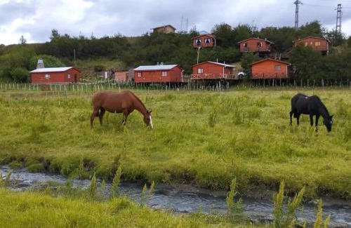 Río Turbio Apartamento | Cabañas Santa Flavia