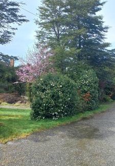 Puerto Montt Casa | Cabañas Tepual