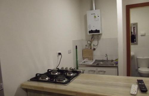Coyhaique Apartamento | CABAÑAS TRAPAGONIA
