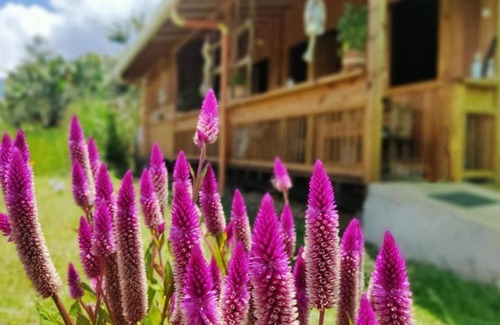 Jardin Chalet De Esquí | Cabañas Villa Juliana