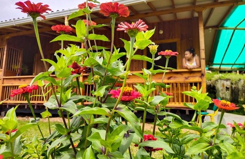 Jardin Chalet De Esquí | Cabañas Villa Juliana
