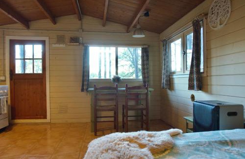 Beguda Chalet De Esquí | Cabañita de madera en Mas Coguleras