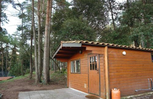 Beguda Chalet De Esquí | Cabañita de madera en Mas Coguleras