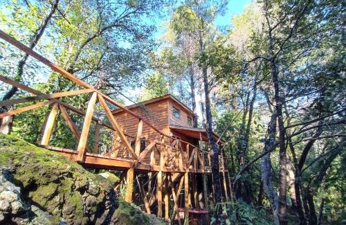 Pinto Chalet De Esquí | Cabañita Del Árbol Concón