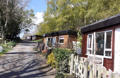 Aberdovey Chalet De Esquí | Caban Dyfi – A tranquil, dog-friendly woodland escape near Aberdovey, Wales