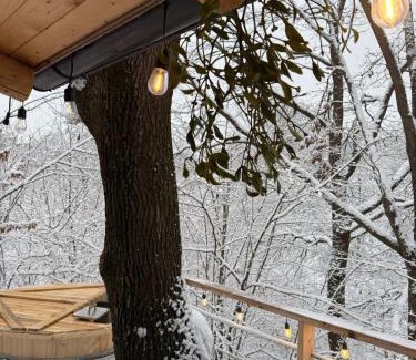 Surdesti Casa | Cabana A