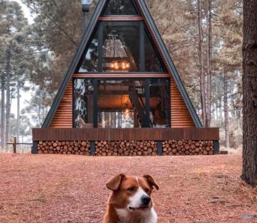 Cambara do Sul Chalet De Esquí | Cabana Alameda Orange