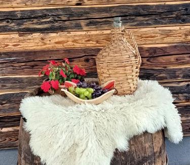 Toplita Casa | Cabana Ana Toplița