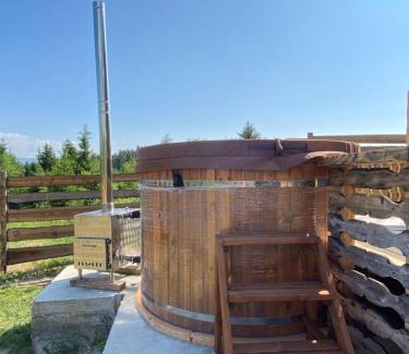 Toplita Casa | Cabana Ana Toplița