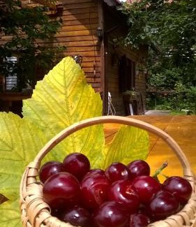 Borsa Chalet De Esquí | Cabana Bradut Borsa