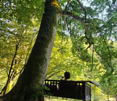 Budureasa Casa | Cabana Cezar