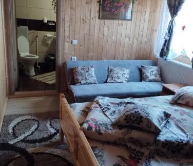 Arieseni Cabina | Cabana Dănuțza
