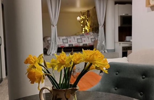Colibita Apartamento | Cabana de pe Stanca