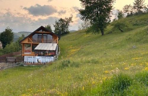 Horea Chalet De Esquí | Cabana de sub mesteceni