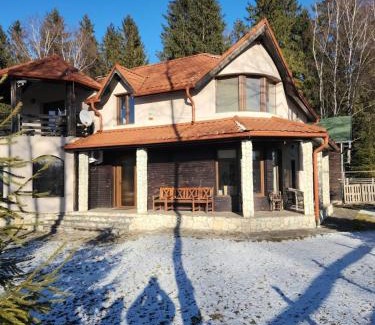 Calatele Chalet De Esquí | Cabana Dealul Negru