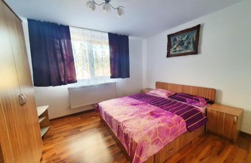 Rausor Casa | Cabana Denisa