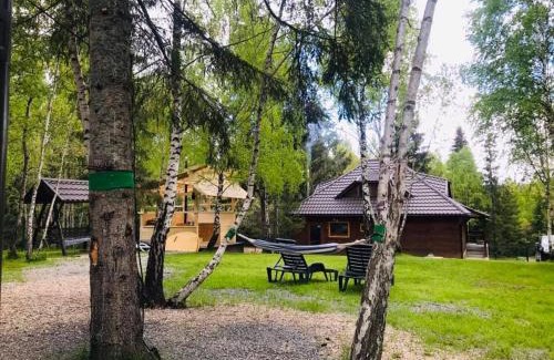 Calatele Casa | Cabana din padurea Belis si casuta din copac