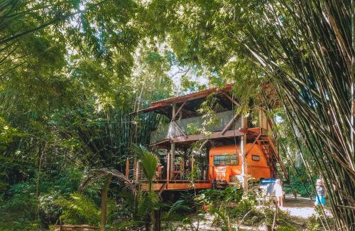 Paraty Cabina | Cabana do Tarzan na Praia de Parati Mirim