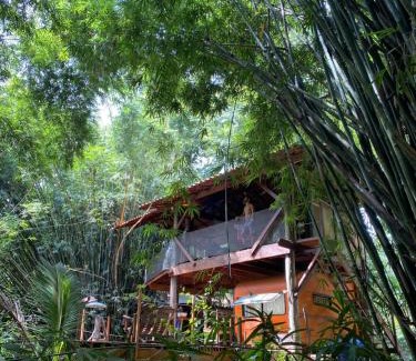 Paraty Cabina | Cabana do Tarzan na Praia de Parati Mirim