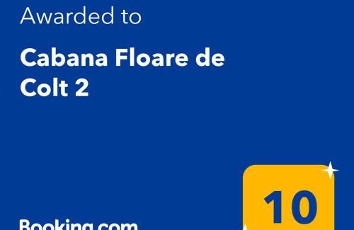 Rasnov Cabina | Cabana Floare de Colt 2