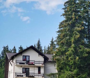 Vartop Cabina | CABANA FRAM VÂRTOP