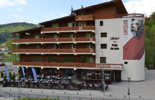 Predeal Hotel | Cabana Fulg De Nea Predeal
