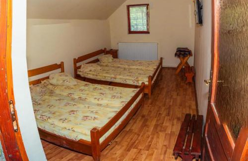 Salciua de Jos Casa | Cabana La Florut