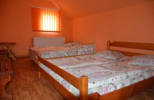 Salciua de Jos Casa | Cabana La Florut