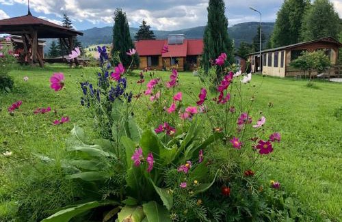 Saru Dornei Casa | Cabana La Plai Vest - cozy private place in the mountain