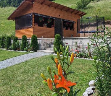 Arieseni Casa | Cabana Lazea