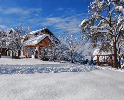 Moisei Casa | Cabana Maramures Landscape